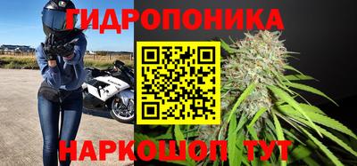 СК Бузулук